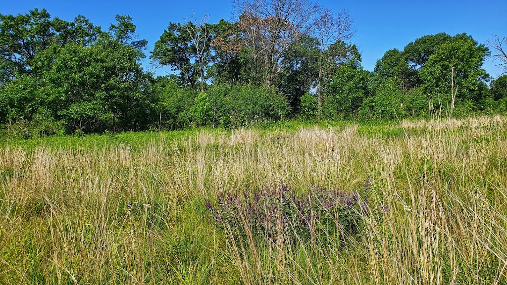 Pine Island Savanna State Natural Area | Levee Rd, Baraboo, WI 53913, USA | Phone: (888) 936-7463