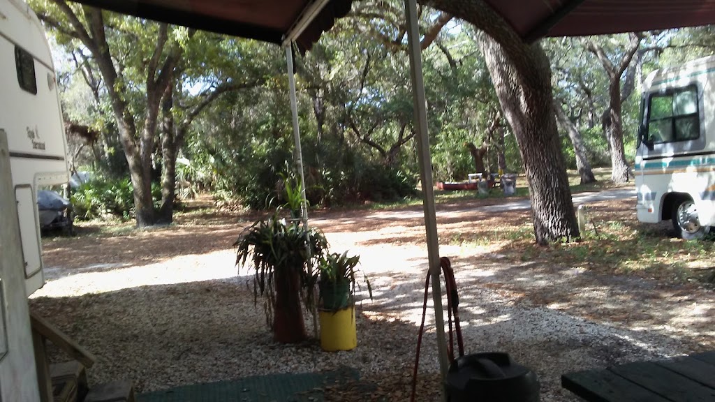 Anclote Village Rv Park | 1421 Calvary Rd, Holiday, FL 34691, USA | Phone: (727) 226-5237