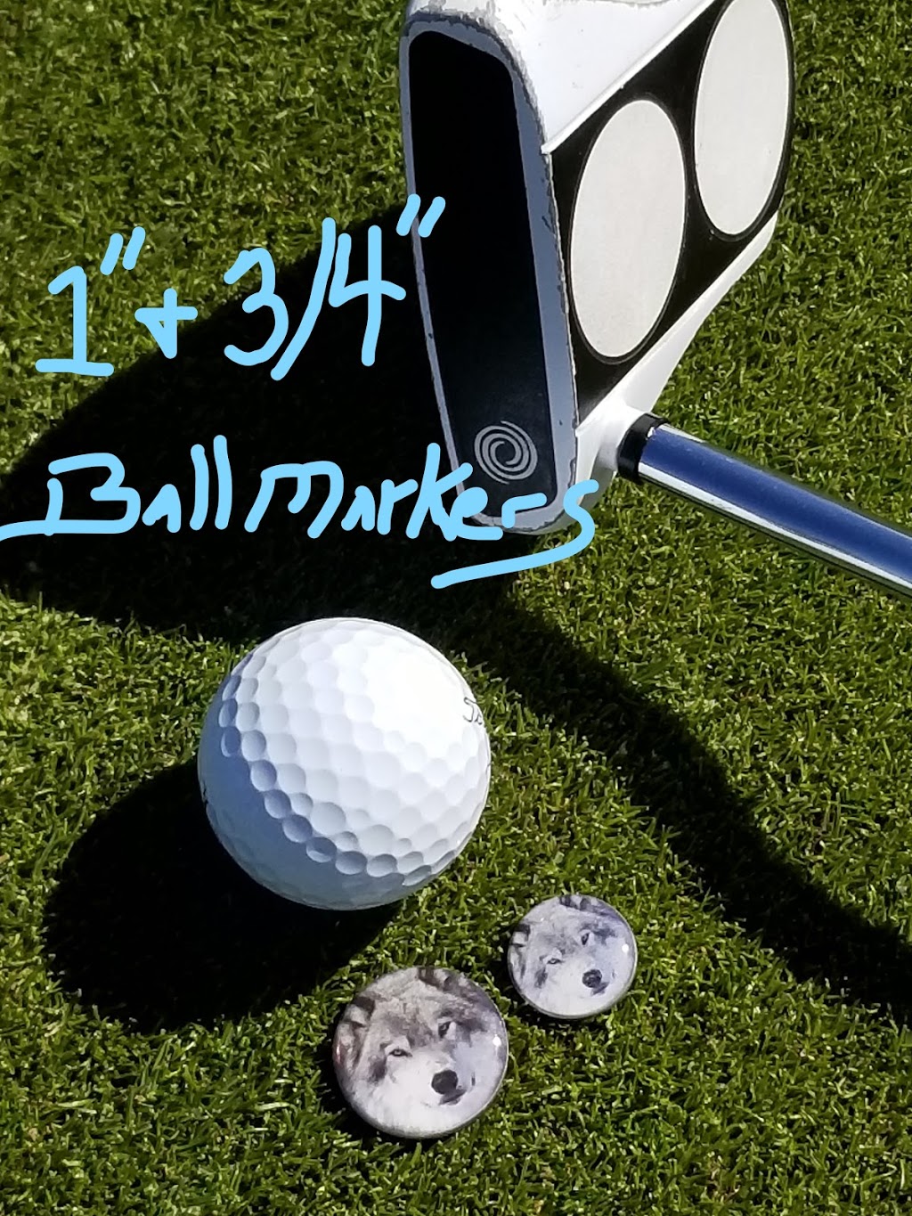 colormarkgolf | 12112 N Rancho Vistoso Blvd #150-150, Oro Valley, AZ 85755, USA | Phone: (720) 938-5274