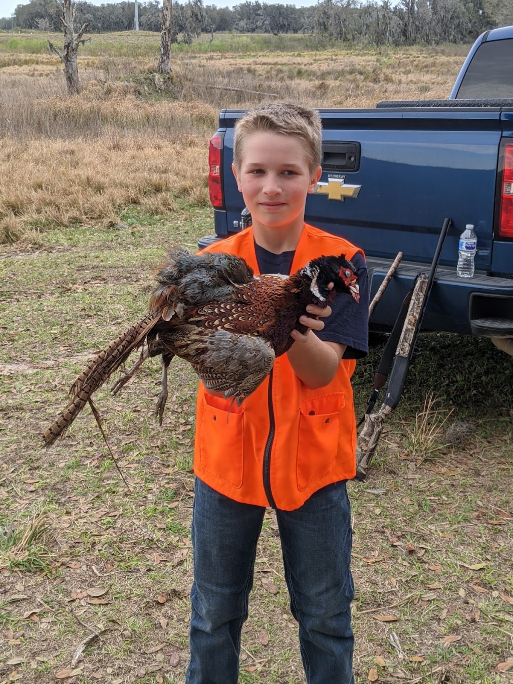 SPORTSMANS PRESERVE Quail Pheasant & Chukar Hunting in Florida | 4617 Garland Branch Rd, Dover, FL 33527, USA | Phone: (813) 956-1315