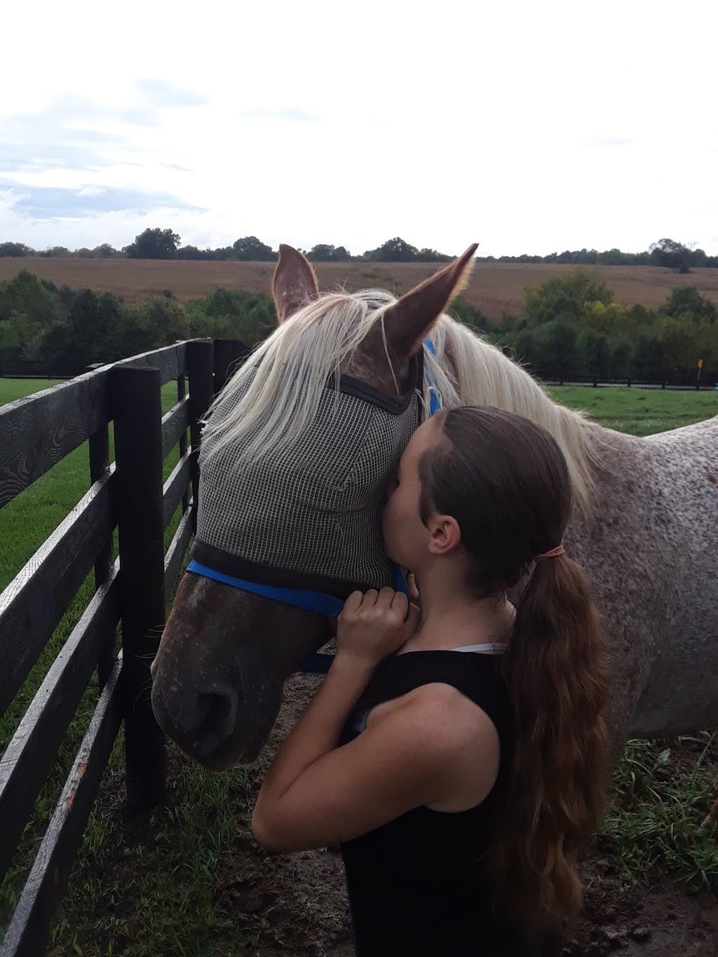 Louisville Equestrian Center | 6720 Mt Washington Rd, Taylorsville, KY 40071, USA | Phone: (502) 477-0830