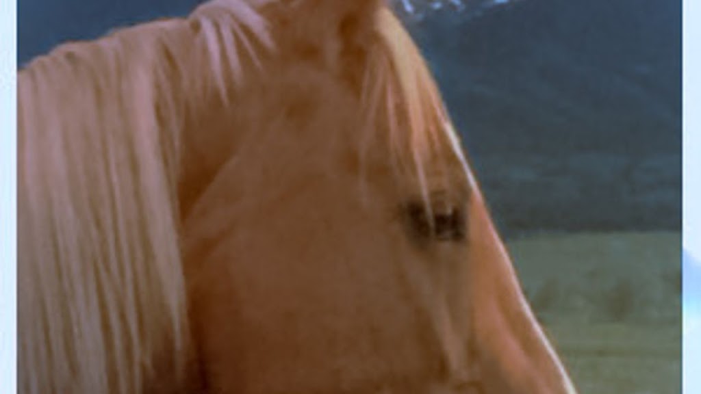 Colorado Horse Hemp Pellets | 6635 W 28th St, Greeley, CO 80634, USA | Phone: (719) 469-3949