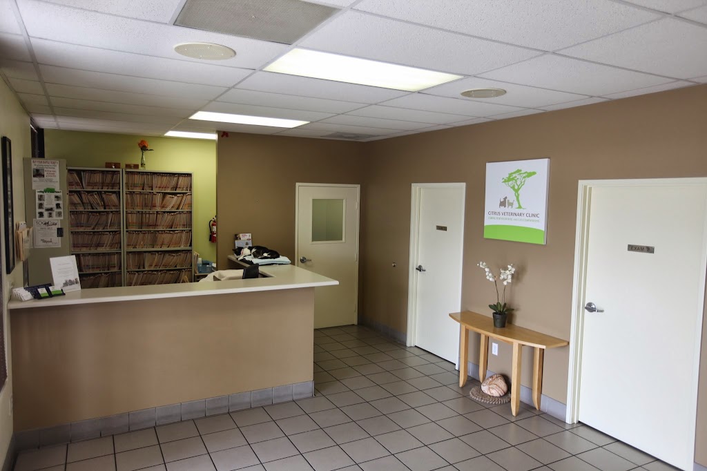 Citrus Veterinary Clinic | 2317 Foothill Blvd, La Verne, CA 91750, USA | Phone: (909) 596-1881