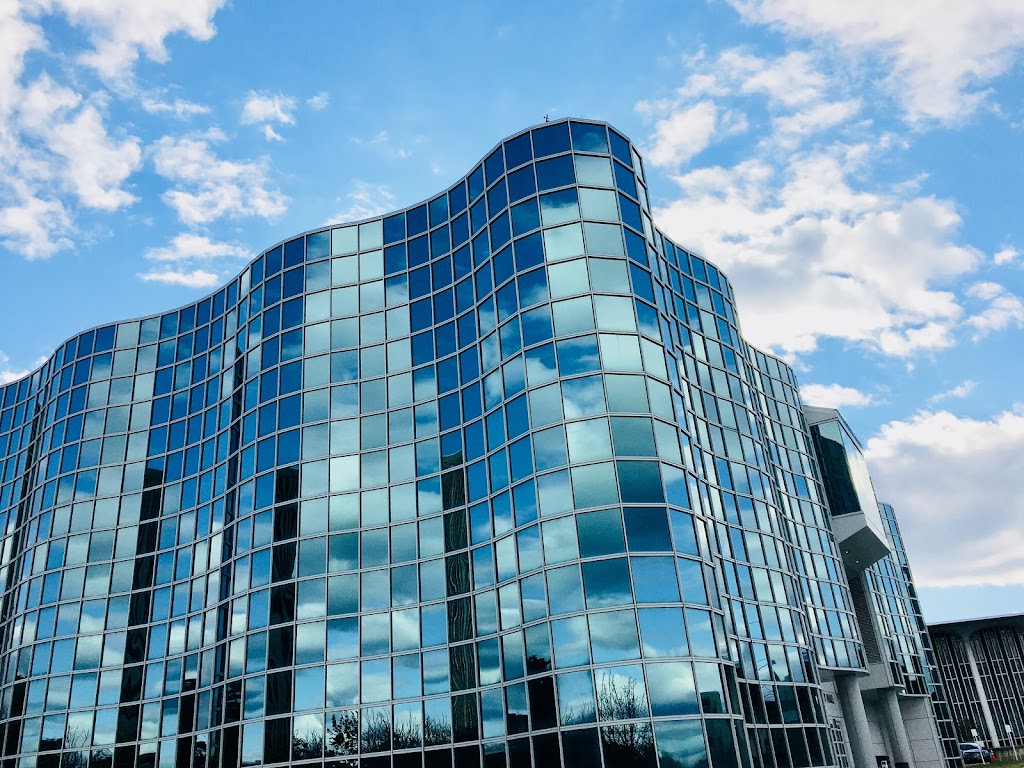 Office of Undergraduate Admissions | University Hall, Albany, NY 12206, USA | Phone: (518) 442-5435