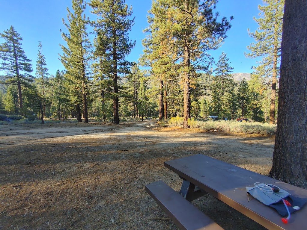 Coon Creek Yellow Post Sites | 46550 CA-38, Angelus Oaks, CA 92305, USA | Phone: (909) 382-2790