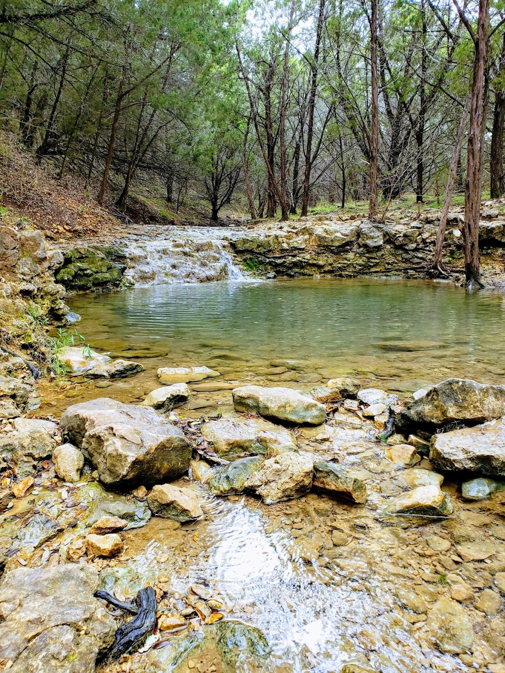 Spring Lake Natural Area | 921 Aquarena Springs Dr, San Marcos, TX 78666 | Phone: (512) 393-8400