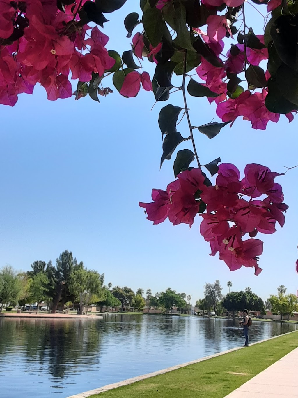 Tierra Verde Lake Park | 301 Old Litchfield Rd, Litchfield Park, AZ 85340, USA | Phone: (623) 935-9040