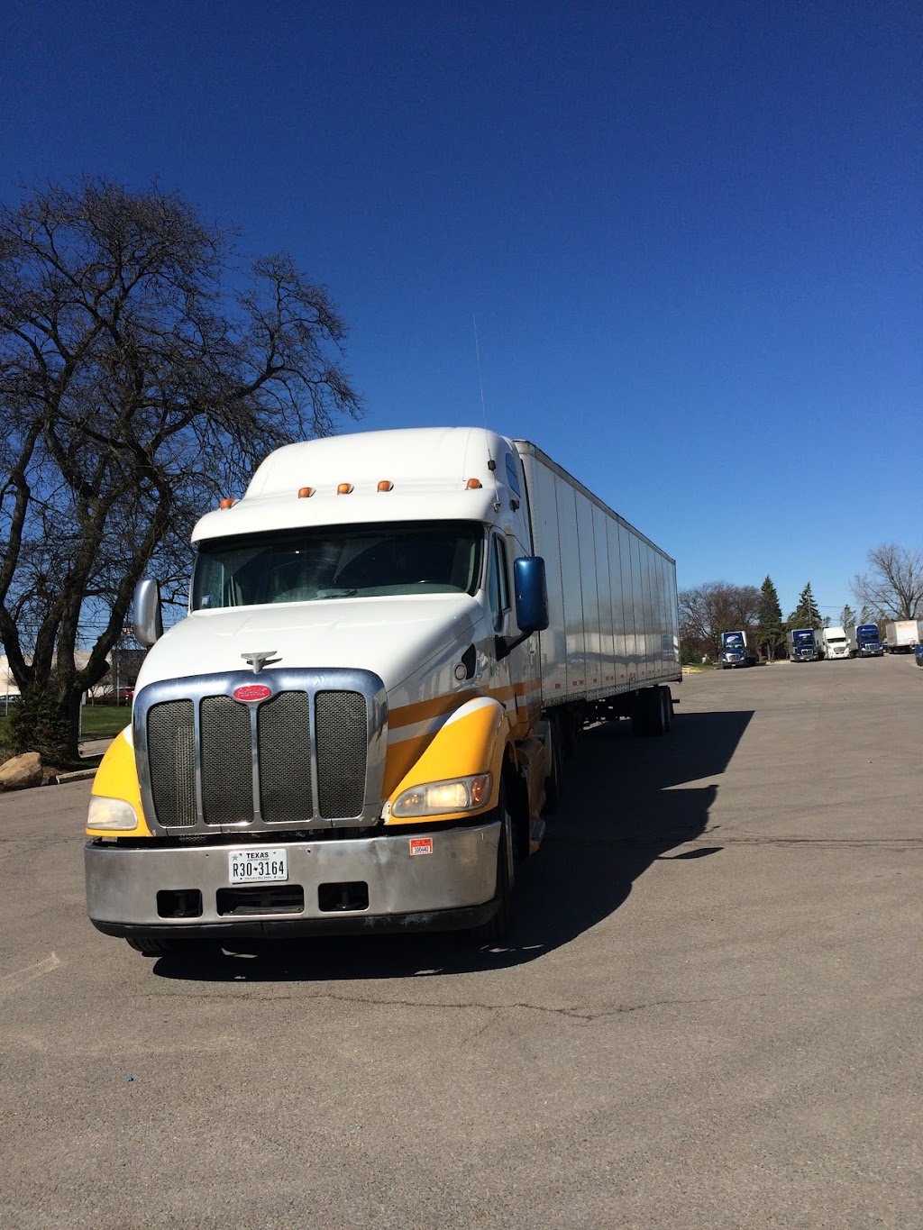World Trucking LLC | 9535 Forest Ln SUITE 101A, Dallas, TX 75243, USA | Phone: (270) 952-4998