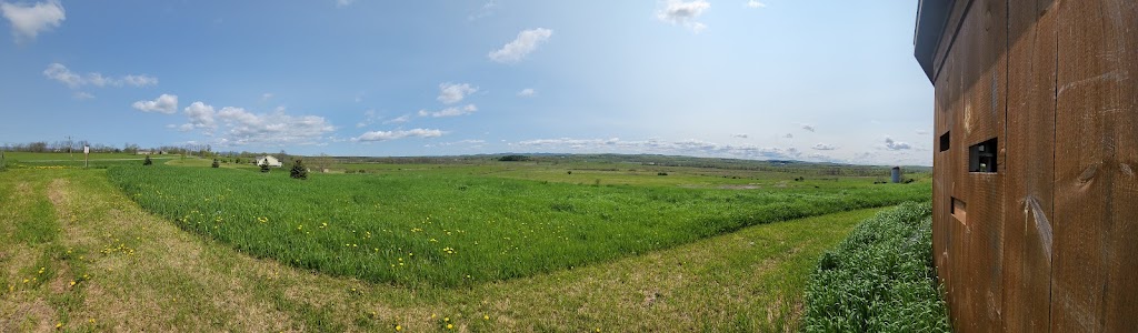 Alfred Z. Solomon Grassland Viewing Area | 160 County Rd 42, Fort Edward, NY 12828, USA | Phone: (518) 499-0012