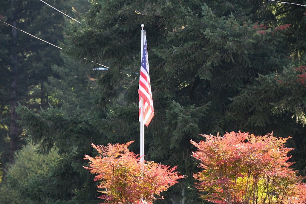 Lewisville Cemetery | Battle Ground, WA 98604, USA | Phone: (360) 667-9902