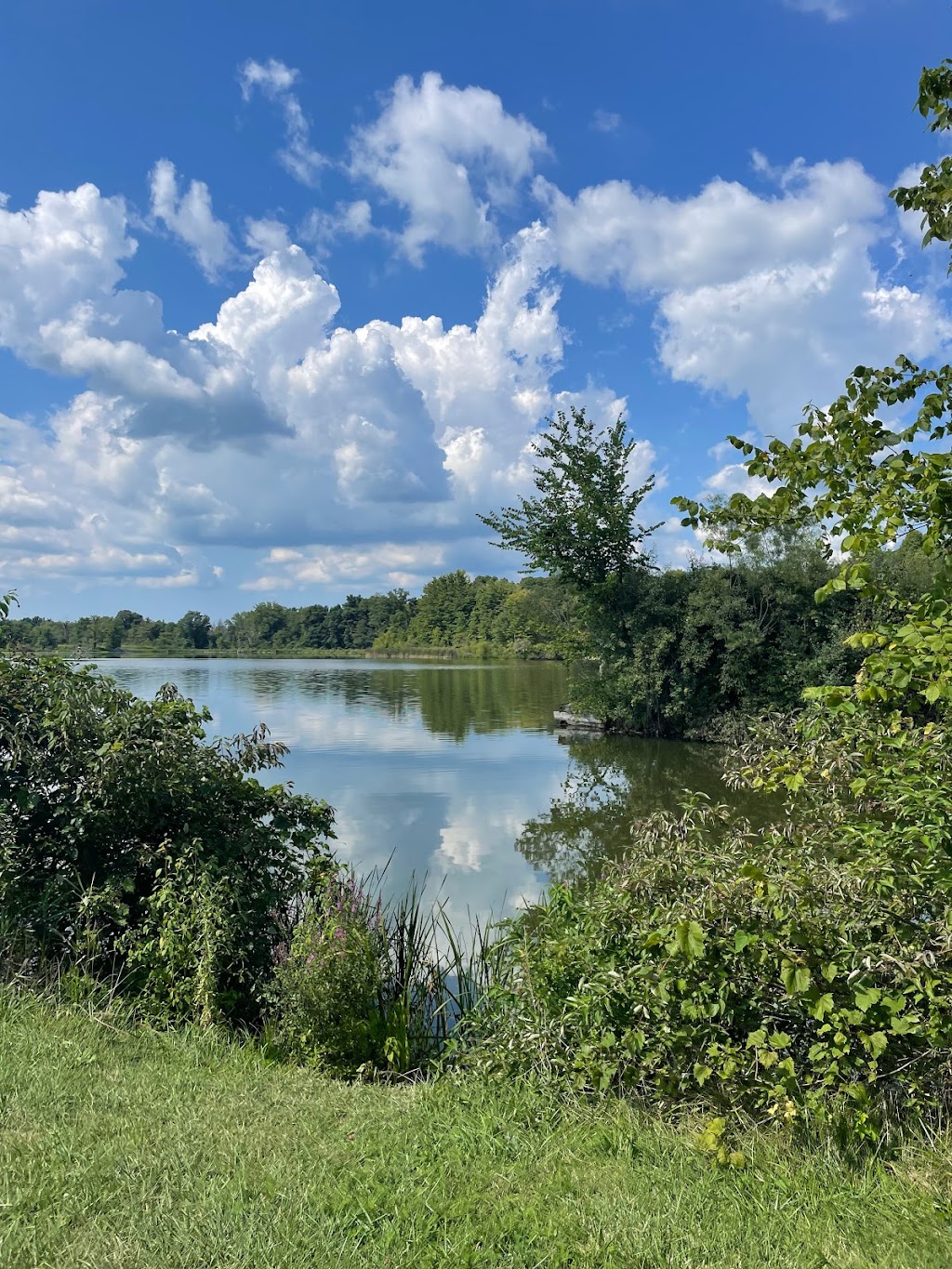 Spencer Lake Wildlife Area | 5852 River Corners Rd, Spencer, OH 44275, USA | Phone: (330) 644-2293