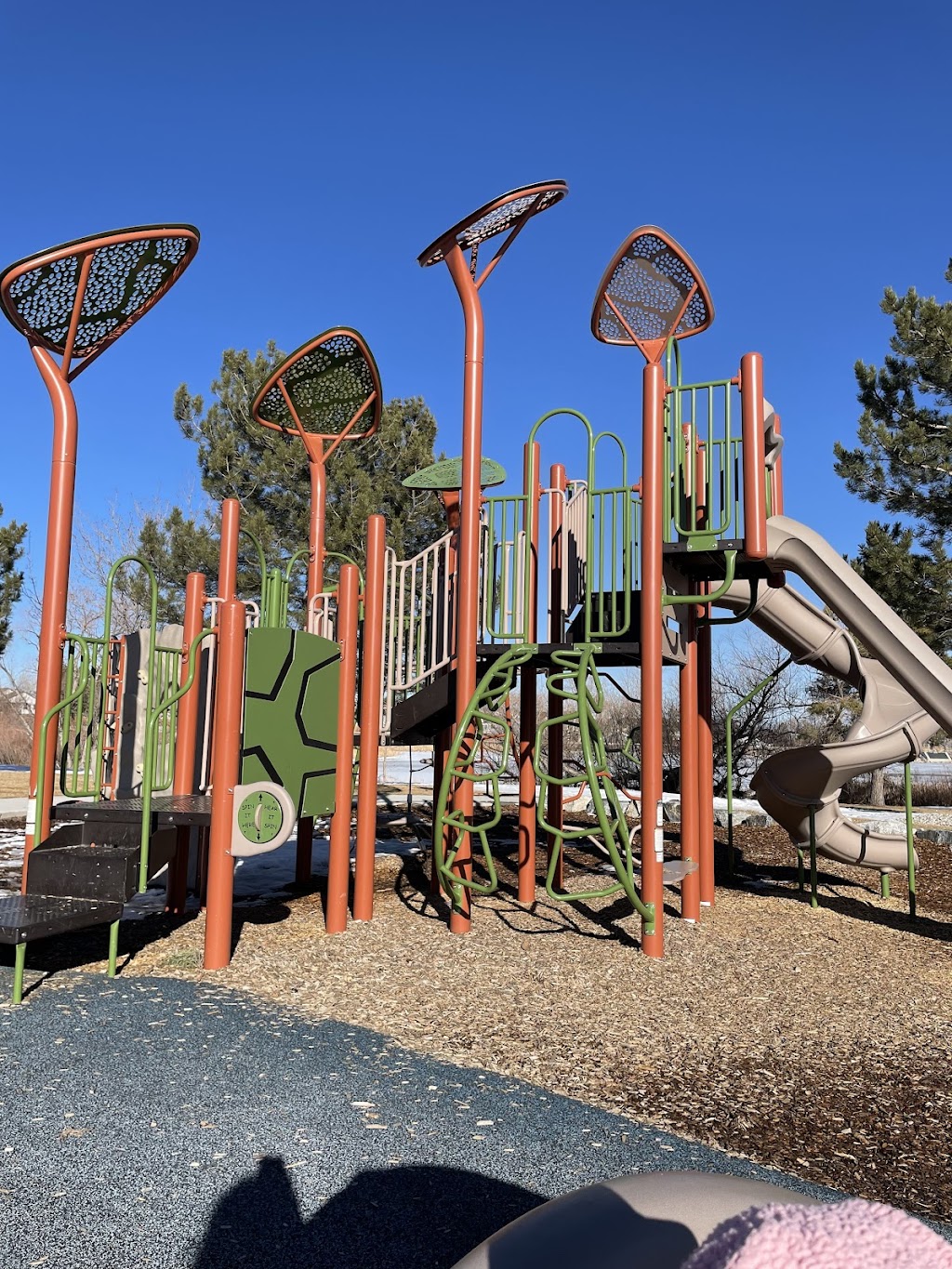 Blue Heron Park | 5518 S Quail St, Littleton, CO 80127, USA | Phone: (303) 409-2100