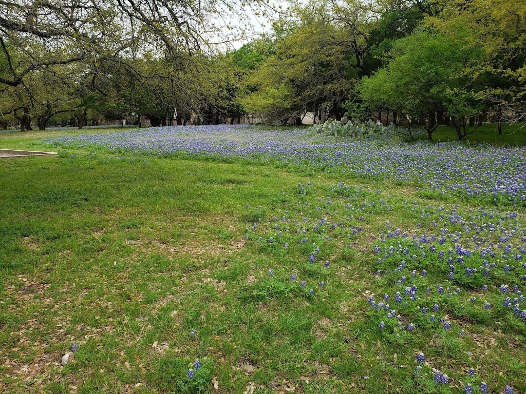 Berry Creek Park | 1100 Shinnecock Hills Dr, Georgetown, TX 78628, USA | Phone: (512) 930-3595