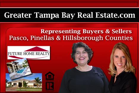 Future Home Realty /Greater Tampa Bay Real Estate Team | 7605 Cita Ln, New Port Richey, FL 34653 | Phone: (727) 239-2536