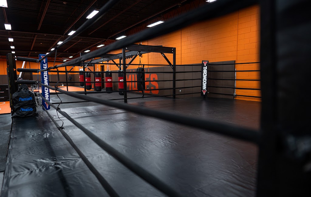 Mule Fitness | 260 Forest Ave, Amsterdam, NY 12010, USA | Phone: (518) 467-6588