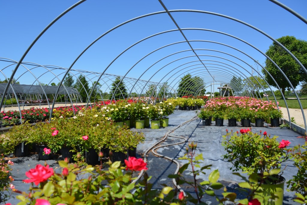 McKay Garden Center - Oregon | 5655 Lincoln Rd, Oregon, WI 53575, USA | Phone: (608) 835-6556