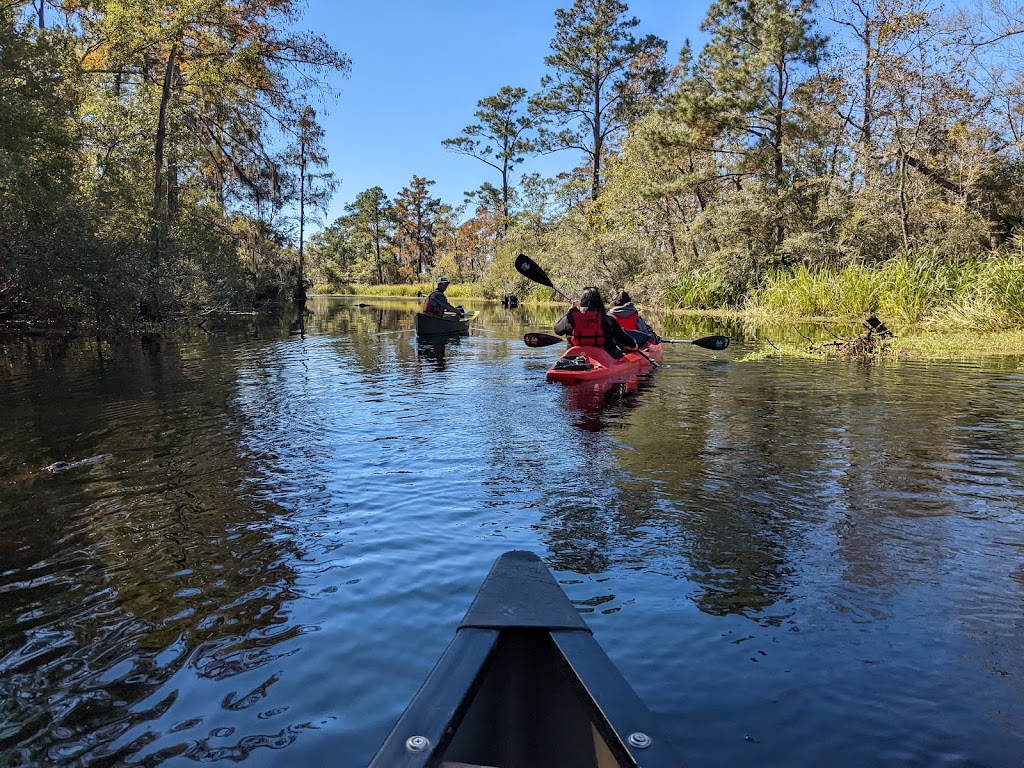 Big Branch Marsh National Wildlife Refuge | 61389 LA-434, Lacombe, LA 70445, USA | Phone: (985) 882-2000