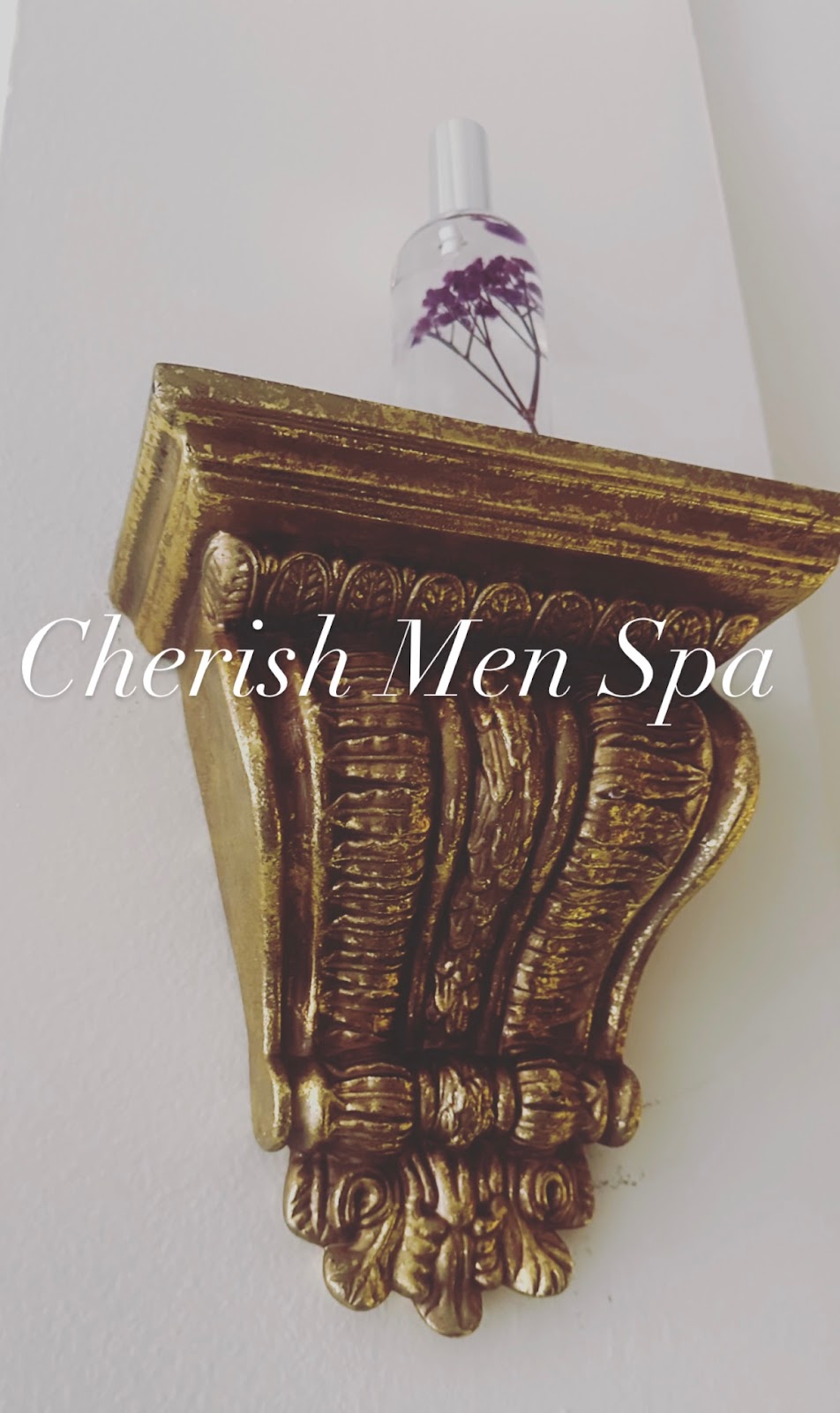 Cherish Mens Spa | 107 Stewart Ave #11, Hicksville, NY 11801, USA | Phone: (347) 905-6900