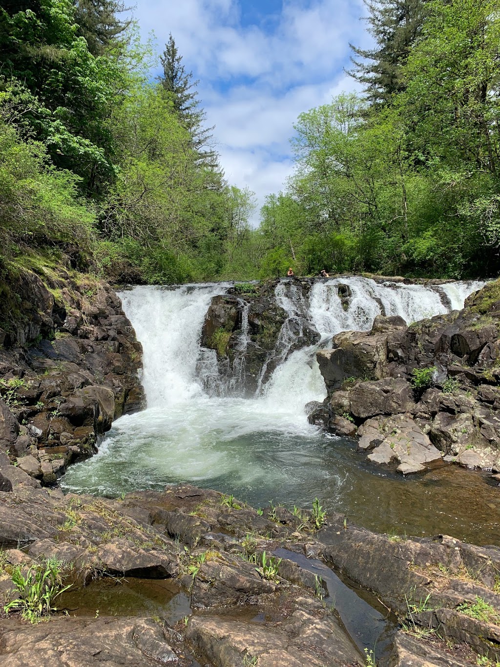 Moulton Falls Regional Park | 27781 NE Lucia Falls Rd, Yacolt, WA 98675, USA | Phone: (564) 397-2285