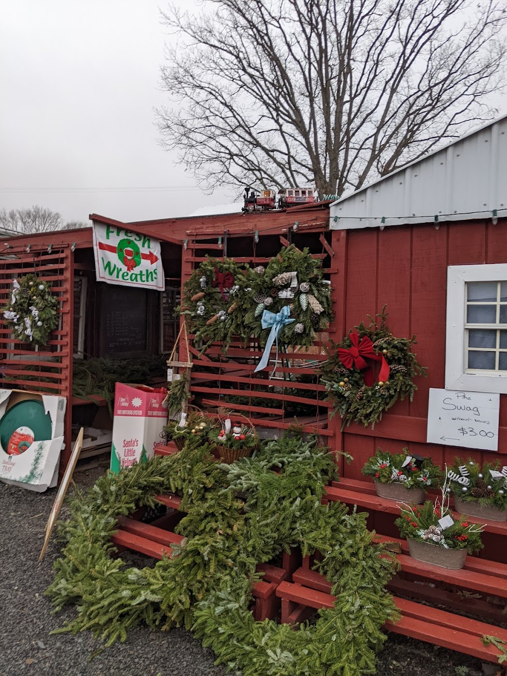 Stout Christmas Trees | 1570 Swamp Rd, Fountainville, PA 18923, USA | Phone: (215) 249-1334