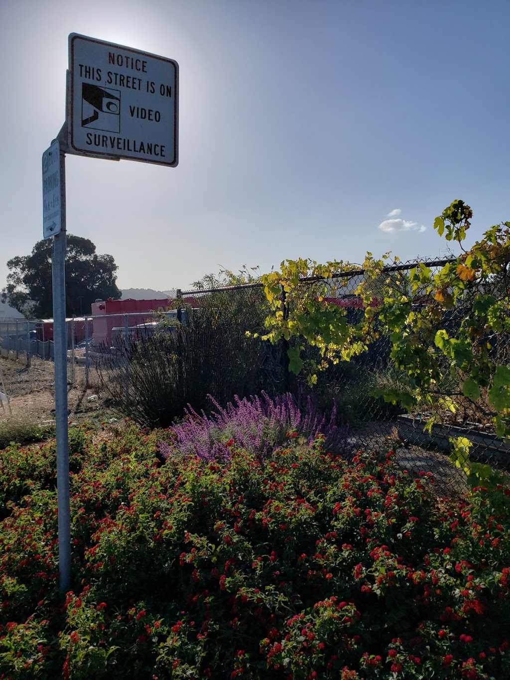 Canal Community Garden | 009 280-08, San Rafael, CA 94901 | Phone: (415) 485-3328