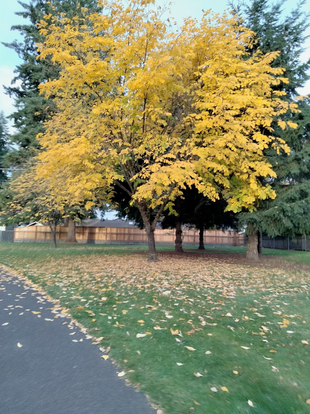 LeRoy Haagen Memorial Community Park | NE 9th St, Vancouver, WA 98684, USA | Phone: (360) 487-8311