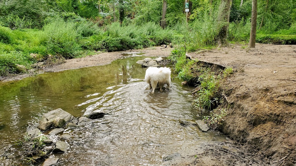 Rumbrook Park East Dog Park | 850 Dobbs Ferry Rd, White Plains, NY 10607, USA | Phone: (914) 693-8985