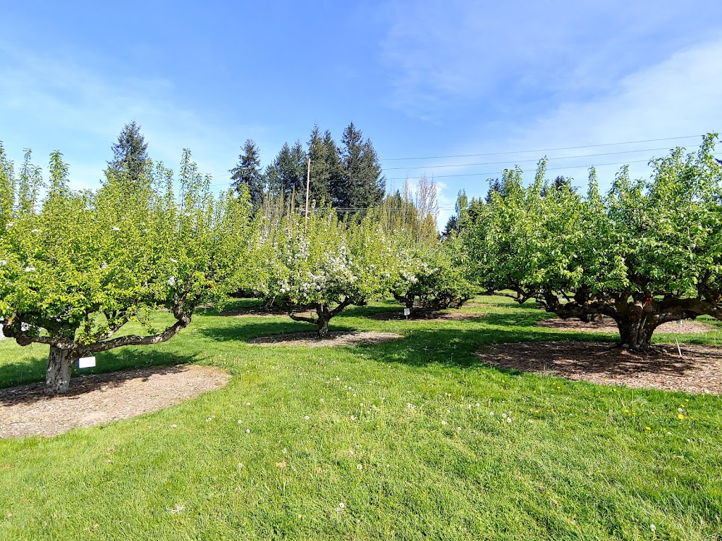 Curran Apple Orchard Park | 3920 Grandview Dr W, University Place, WA 98466, USA | Phone: (253) 460-2530