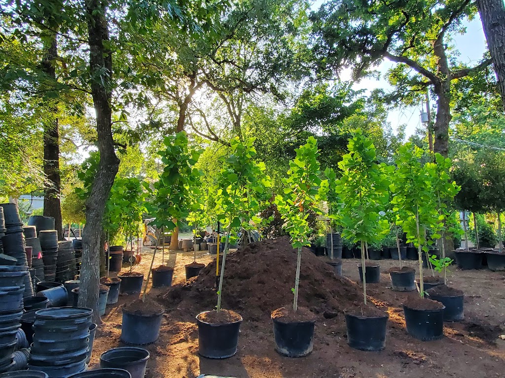 La Escondida Tree Farm | 30101 Klein Dr, Magnolia, TX 77355, USA | Phone: (832) 808-1465