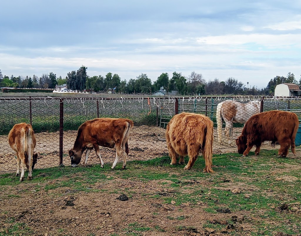 Twisted Bit Ranch | 21844 Rd 29 1/2, Madera, CA 93638, USA | Phone: (559) 931-2400