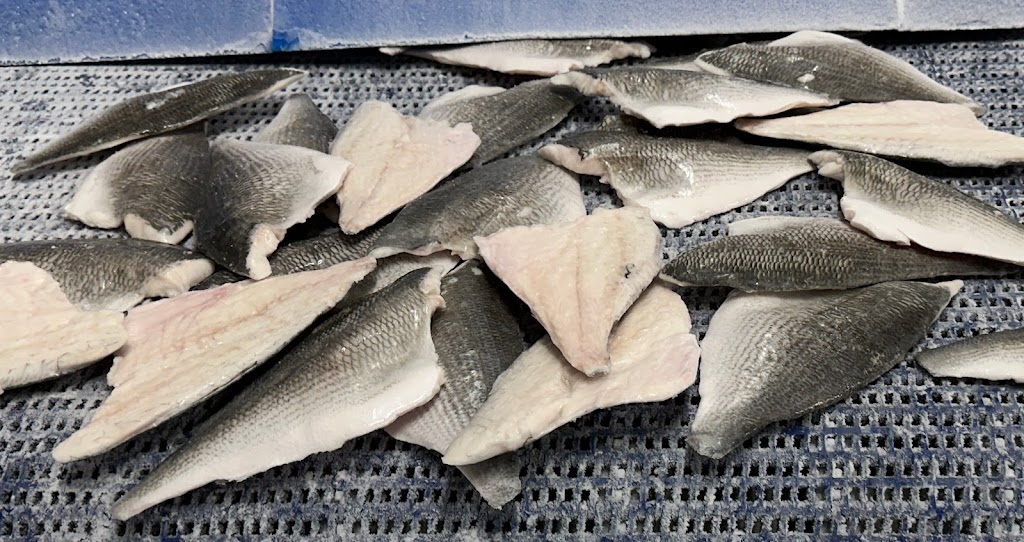 Brands Fish Processing B.V. | Kamperhoek, Inschot 4, 8321 MB Urk, Netherlands | Phone: 0527 820 010