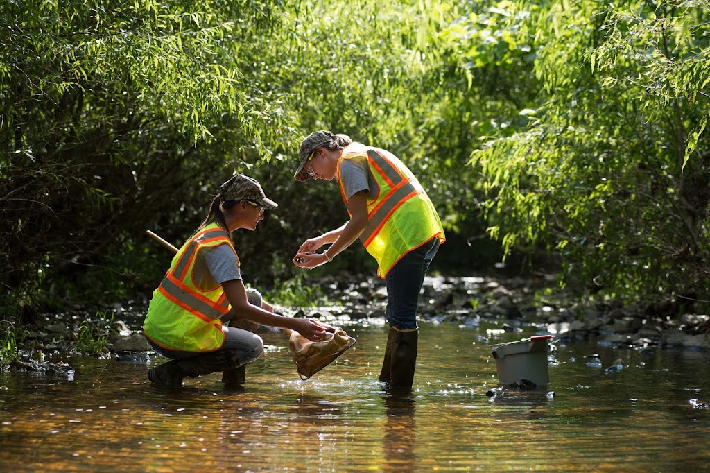 Wetland Studies and Solutions, Inc. (WSSI) | 1131 Benfield Blvd suite l, Millersville, MD 21108, USA | Phone: (410) 672-5990