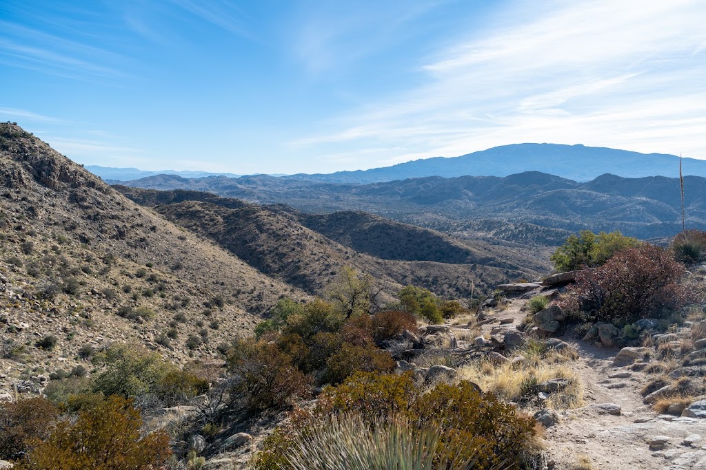 Molino Basin Trailhead | Arizona National Scenic Trail, Tucson, AZ 85749, USA | Phone: (520) 724-9999