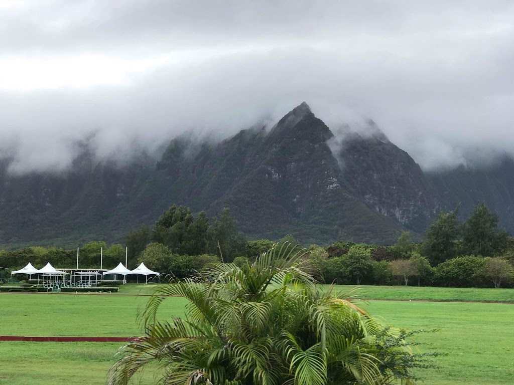 Waimanalo Beach Rides | 41-1062 Kalanianaʻole Hwy, Waimanalo, HI 96795, USA | Phone: (808) 421-9874