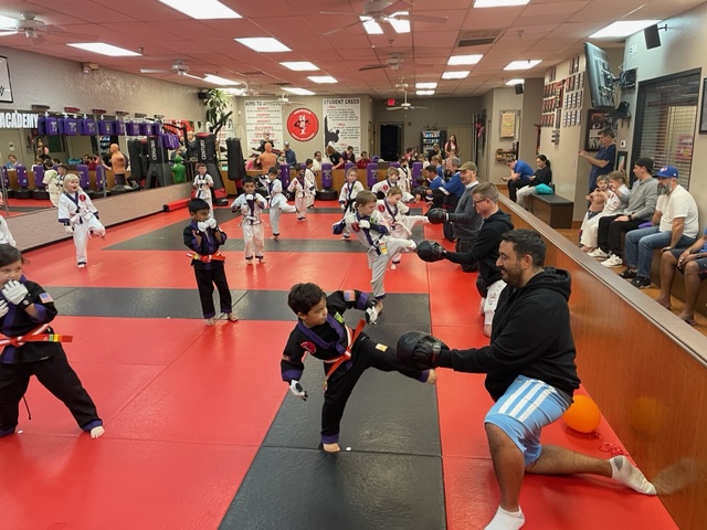 Arrowhead Martial Arts Academy | 20165 N 67th Ave Suite 120, Glendale, AZ 85308 | Phone: (623) 937-9032