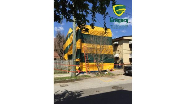 Gregory Pest Solutions | 5442 I-75 Frontage Rd #130, Forest Park, GA 30297, USA | Phone: (678) 905-5689