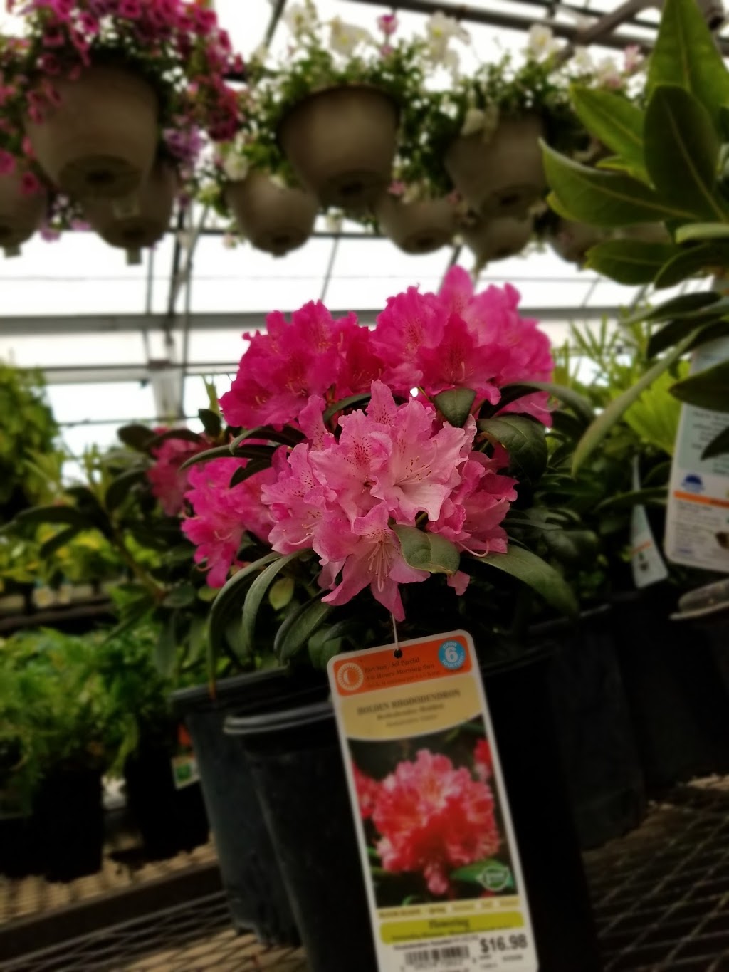 Lowes Garden Center | Hempfield Square, Lincoln Hwy, Greensburg, PA 15601, USA | Phone: (724) 853-6950