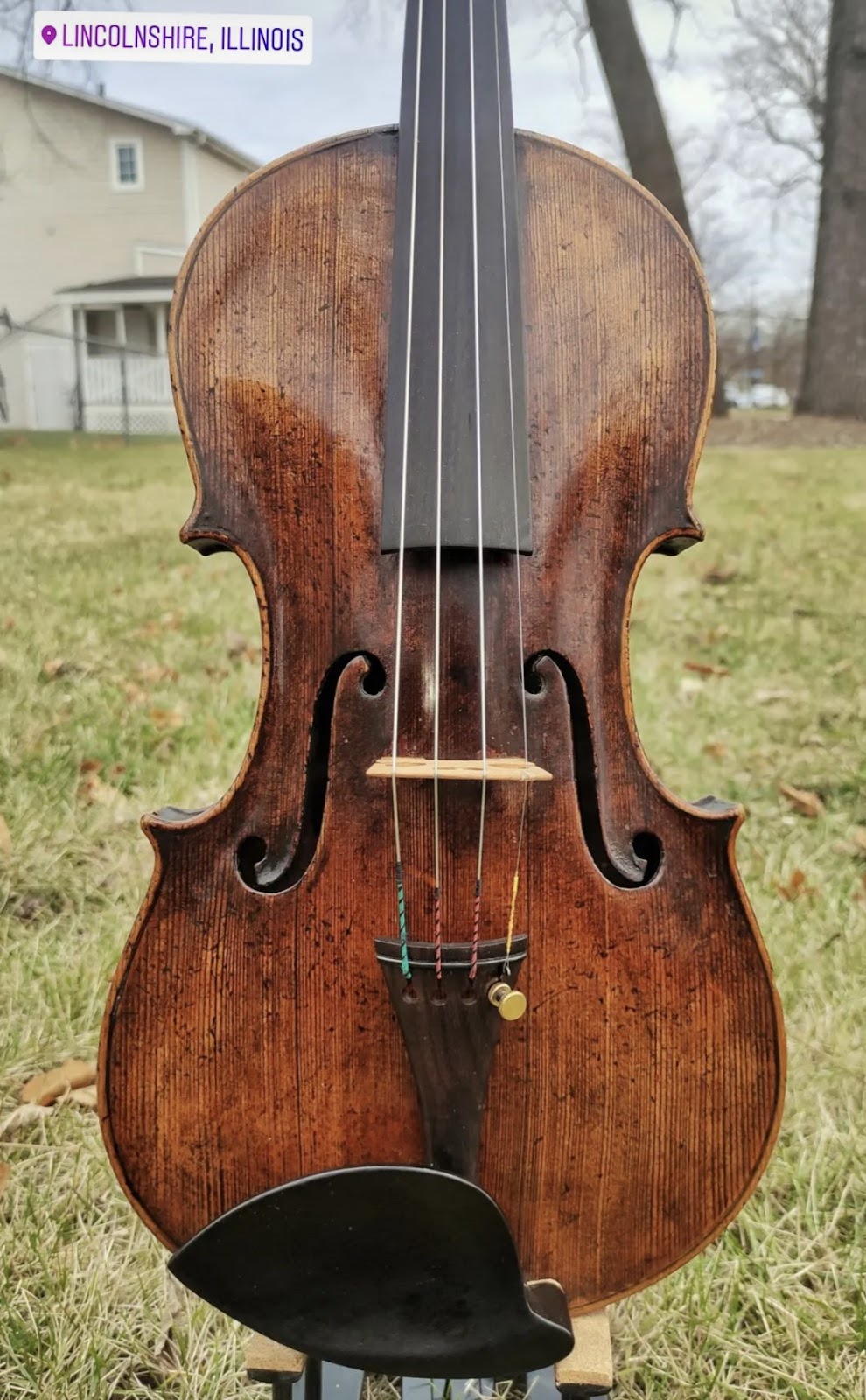 Hoffmann Strings Ltd | 16571 W Easton Ave, Buffalo Grove, Lincolnshire, IL 60069, USA | Phone: (847) 478-1163