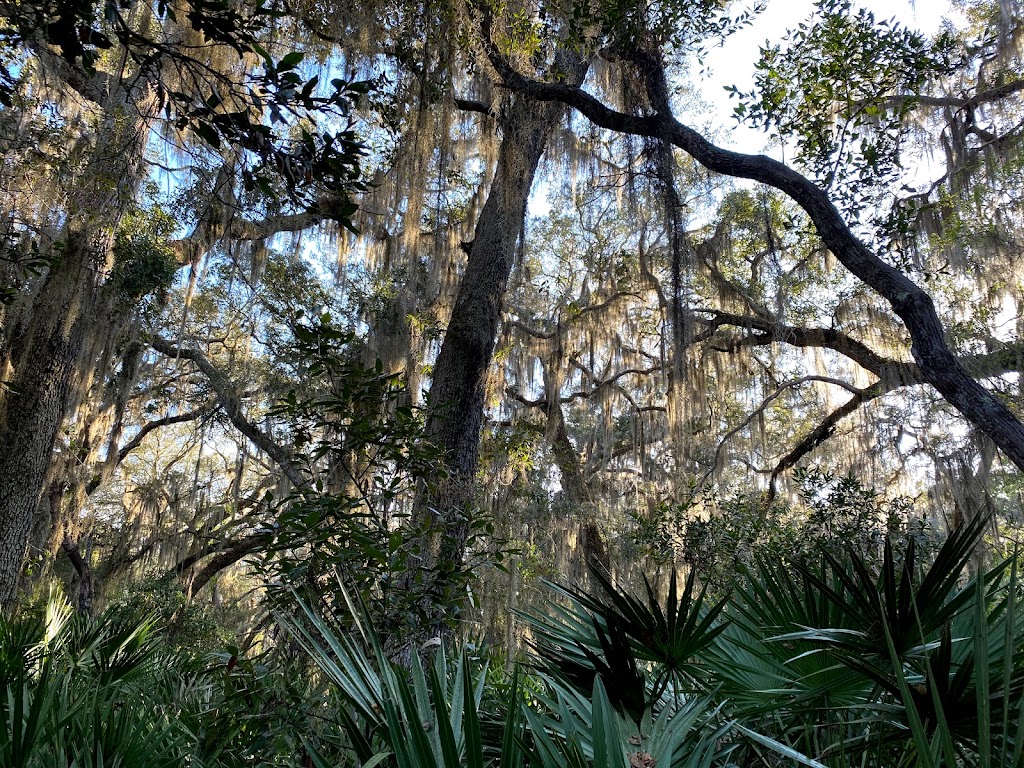 Cumberland Island National Seashore Visitor Center | 113 St Marys St W, St Marys, GA 31558, USA | Phone: (912) 882-4336