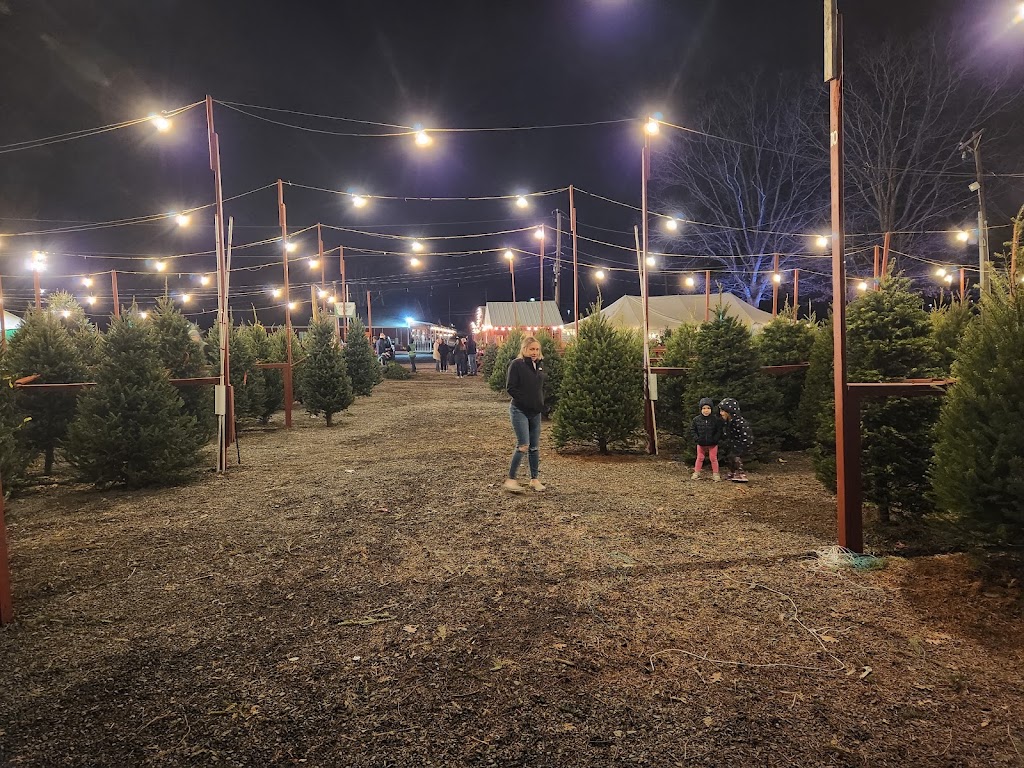 Stout Christmas Trees | 1570 Swamp Rd, Fountainville, PA 18923, USA | Phone: (215) 249-1334