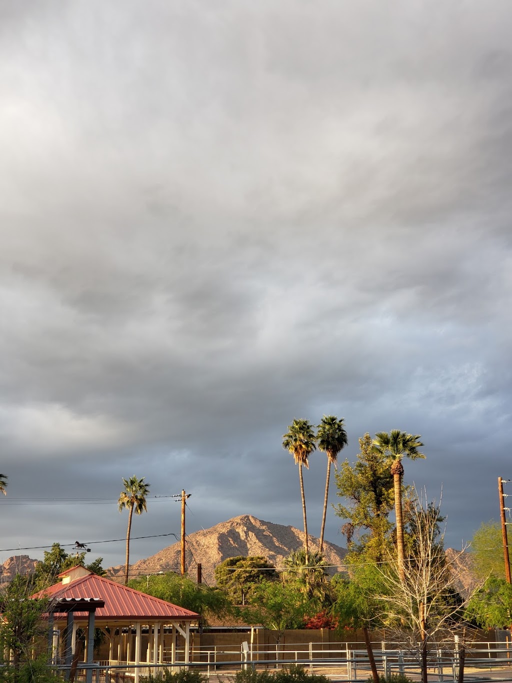 The Bridge United Methodist Church | 4900 E Thomas Rd, Phoenix, AZ 85018, USA | Phone: (602) 840-1080