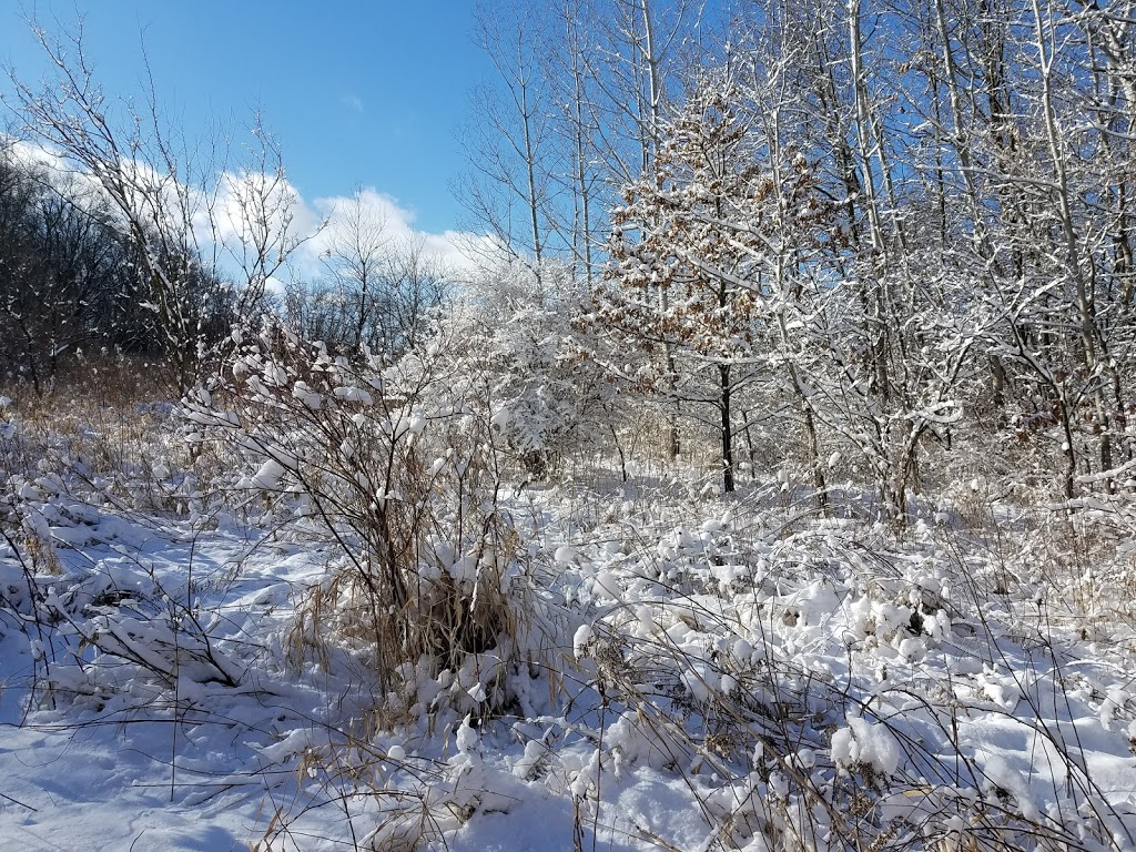 Badfish Creek State Wildlife Area | Old Stone Rd, Madison, WI 53711 | Phone: (888) 936-7463