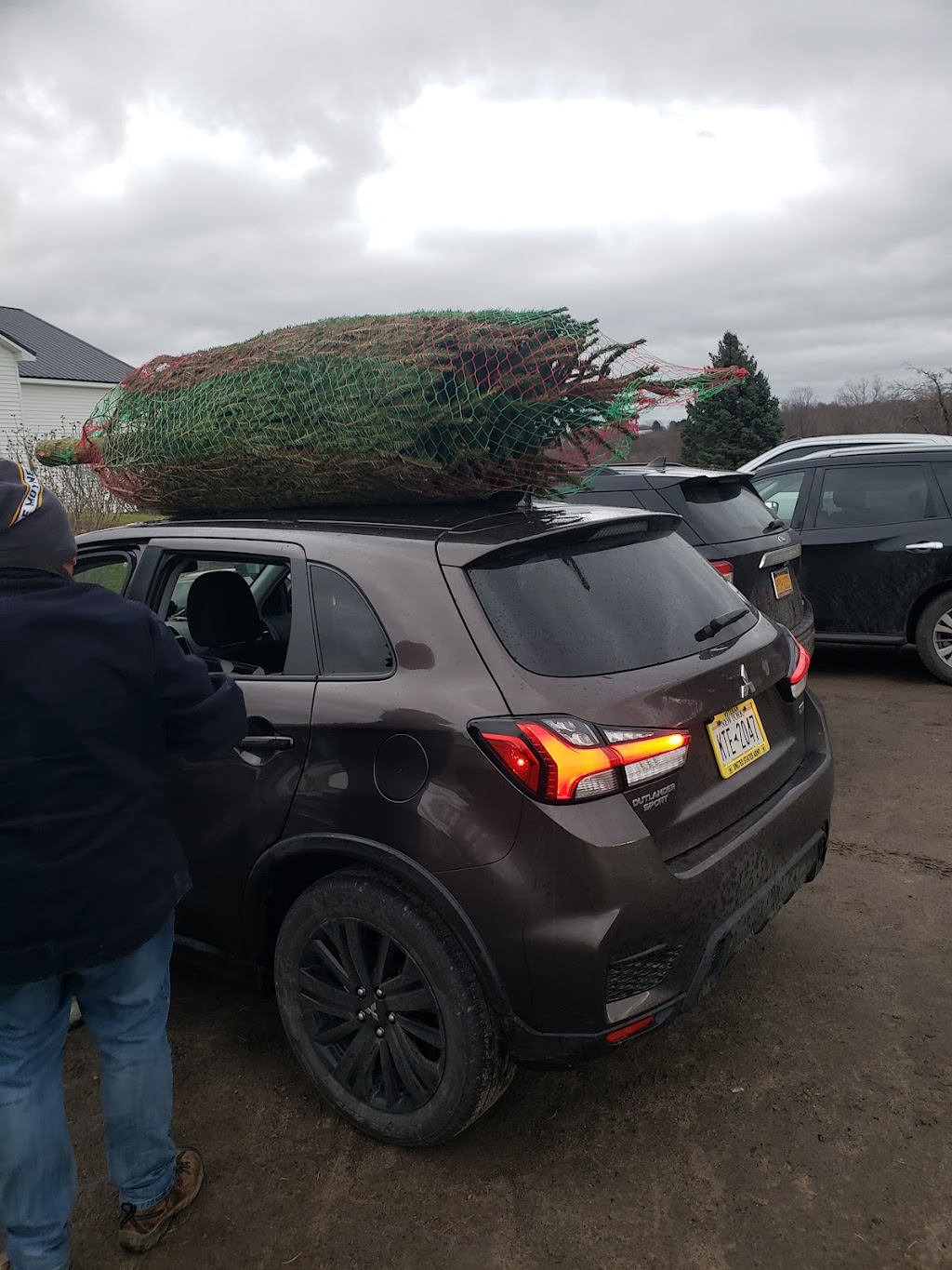 Buttenschon Christmas Tree Farm | 9663 Luke Rd, Marcy, NY 13403, USA | Phone: (315) 865-4849