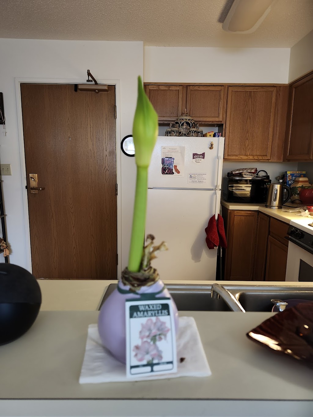 Chotikorn Khunnawat, MD | 715 E Western Reserve Rd 2nd Floor, Poland, OH 44514, USA | Phone: (330) 726-3204