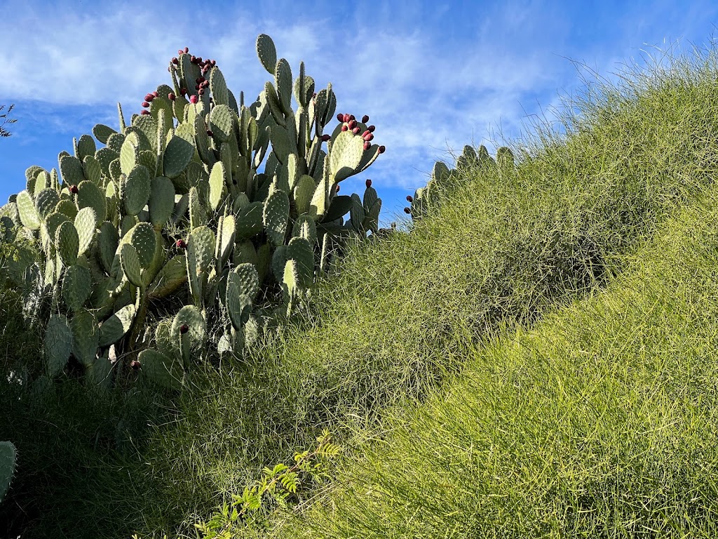 Native American Contemplation Garden | Mrak Hall Dr, Davis, CA 95616, USA | Phone: (530) 752-4880