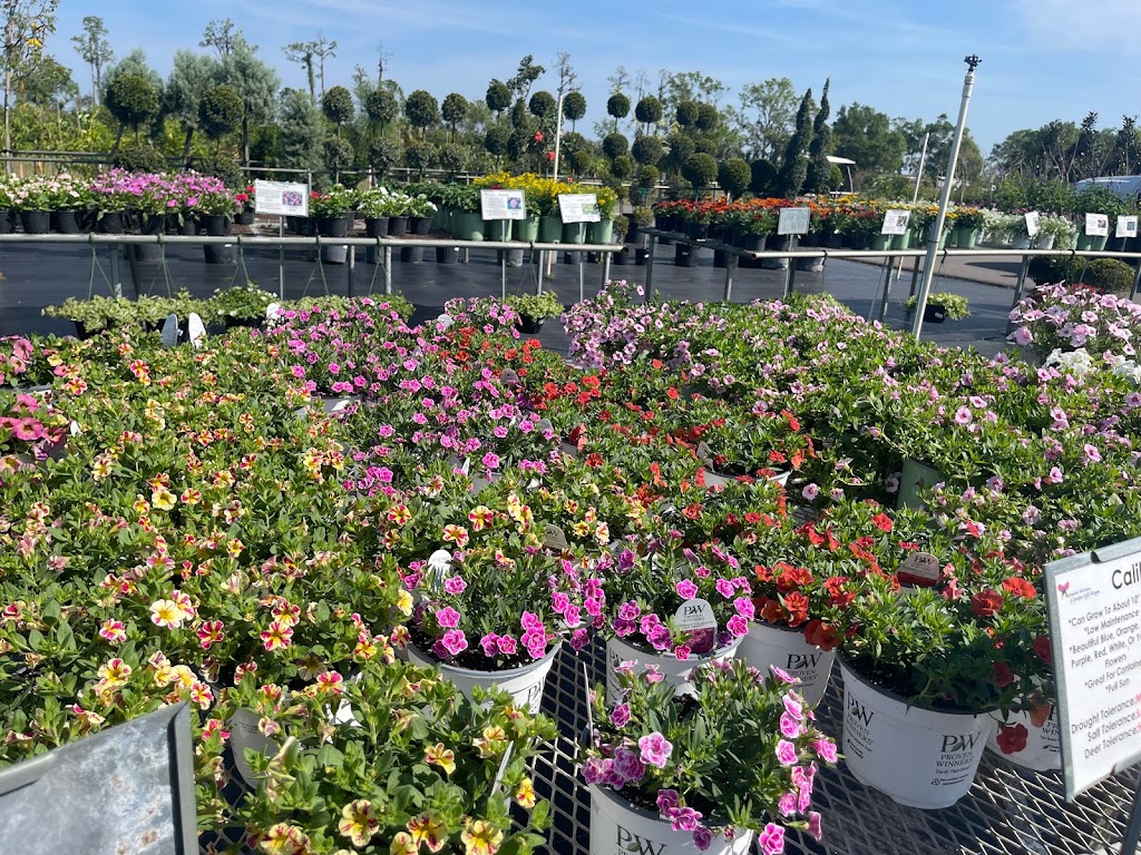 Mariposa Nursery Inc | 5020 Lorraine Rd #5301, Bradenton, FL 34211, USA | Phone: (941) 747-0499