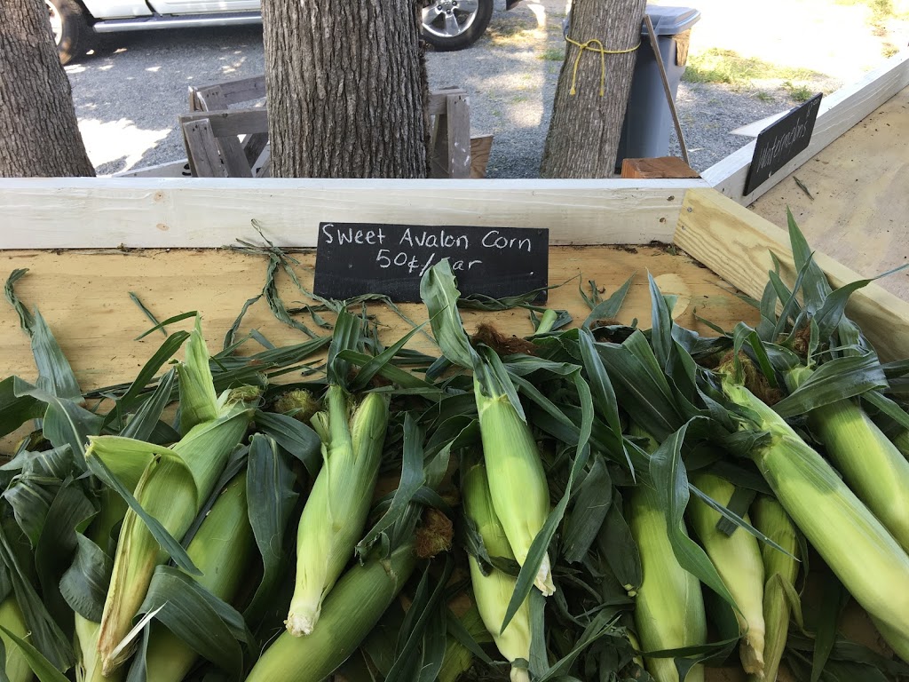 Marshalls Produce - Tomatoes & Such (closed for the 2020 season) | 95 Royce Webster Dr, Apex, NC 27523, USA | Phone: (919) 524-1414