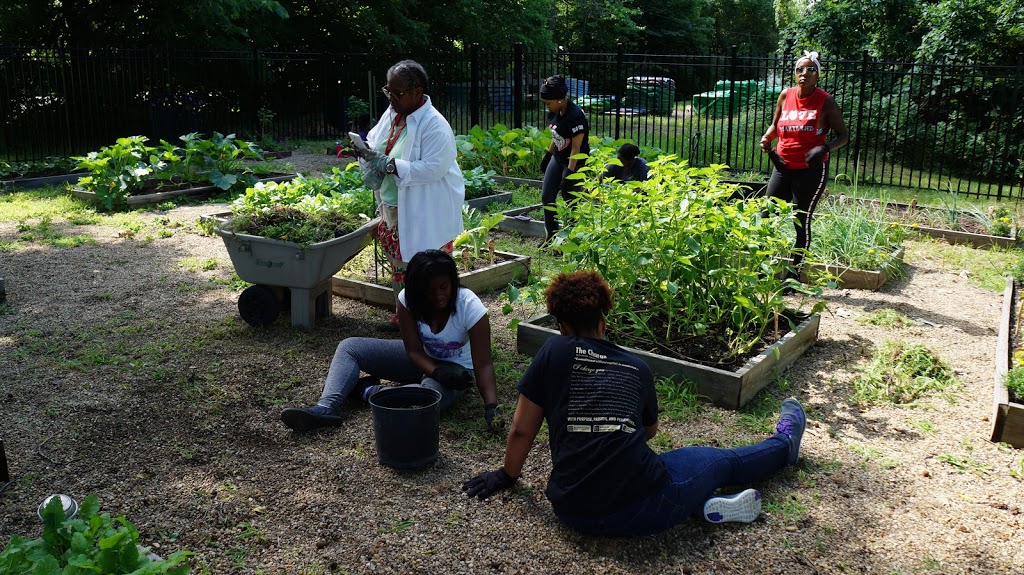 The Charles Madison Nabrit Memorial Garden | 1200 Brentnell Ave, Columbus, OH 43219, USA | Phone: (614) 835-6784