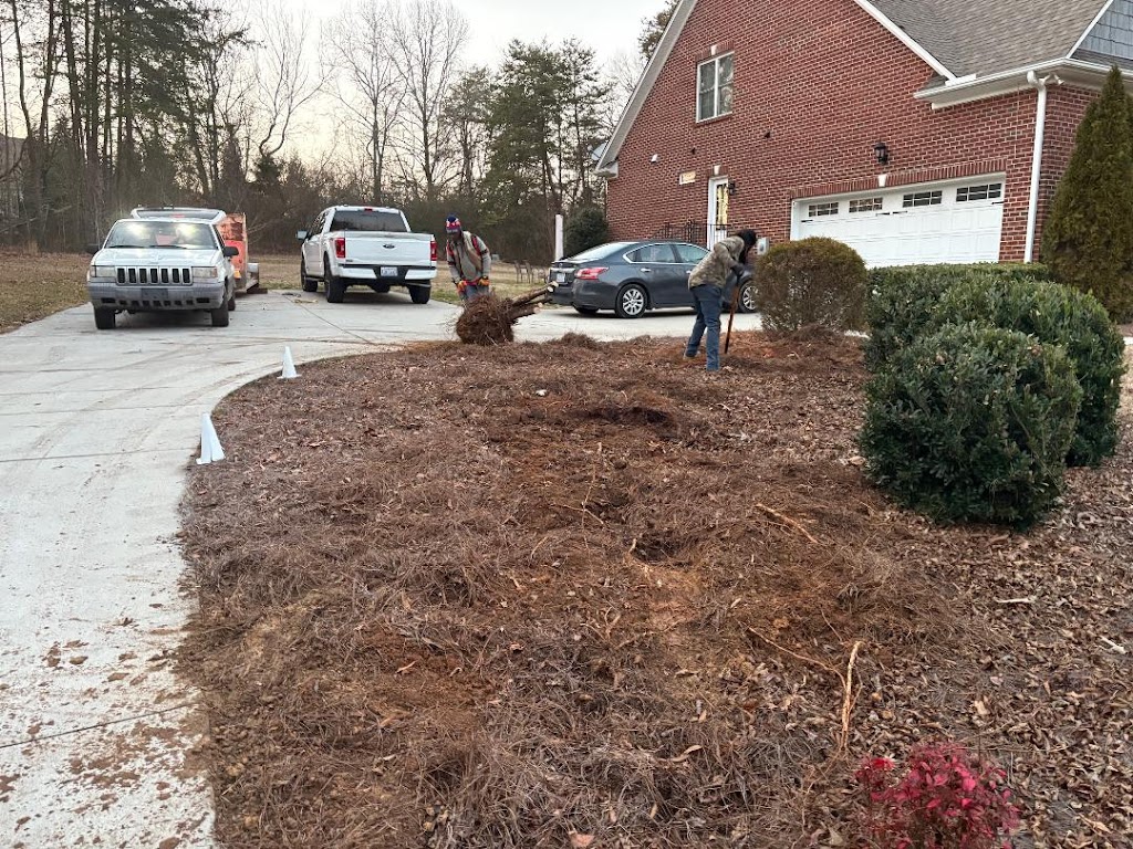 Pennys Tree Service | 3980 Premier Dr, High Point, NC 27265, USA | Phone: (336) 829-4471