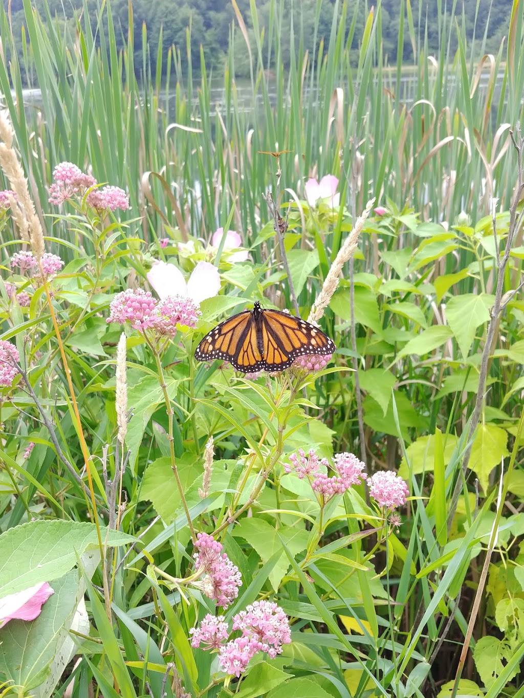 Pleasant Valley Trail | Pleasant Valley Rd, Portersville, PA 16051, USA | Phone: (724) 368-8811 Pleasant Valley Trail | Pleasant Valley Rd, Portersville, PA 16051, USA | Phone: (724) 368-8811
